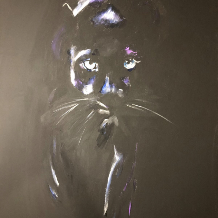 PUMA 